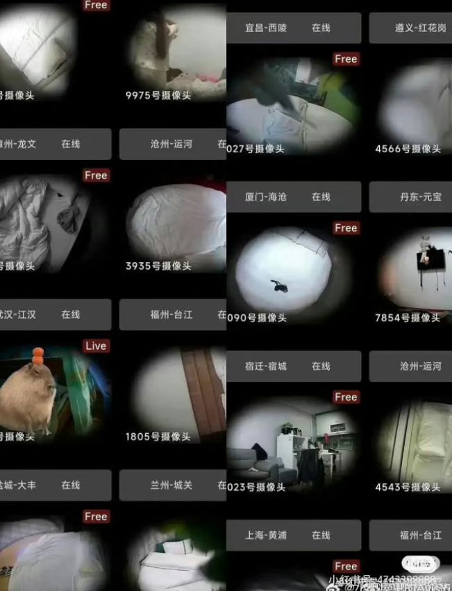 phong chat thu n 2