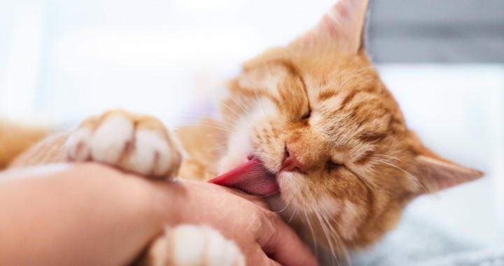 benh vien bach mai 2