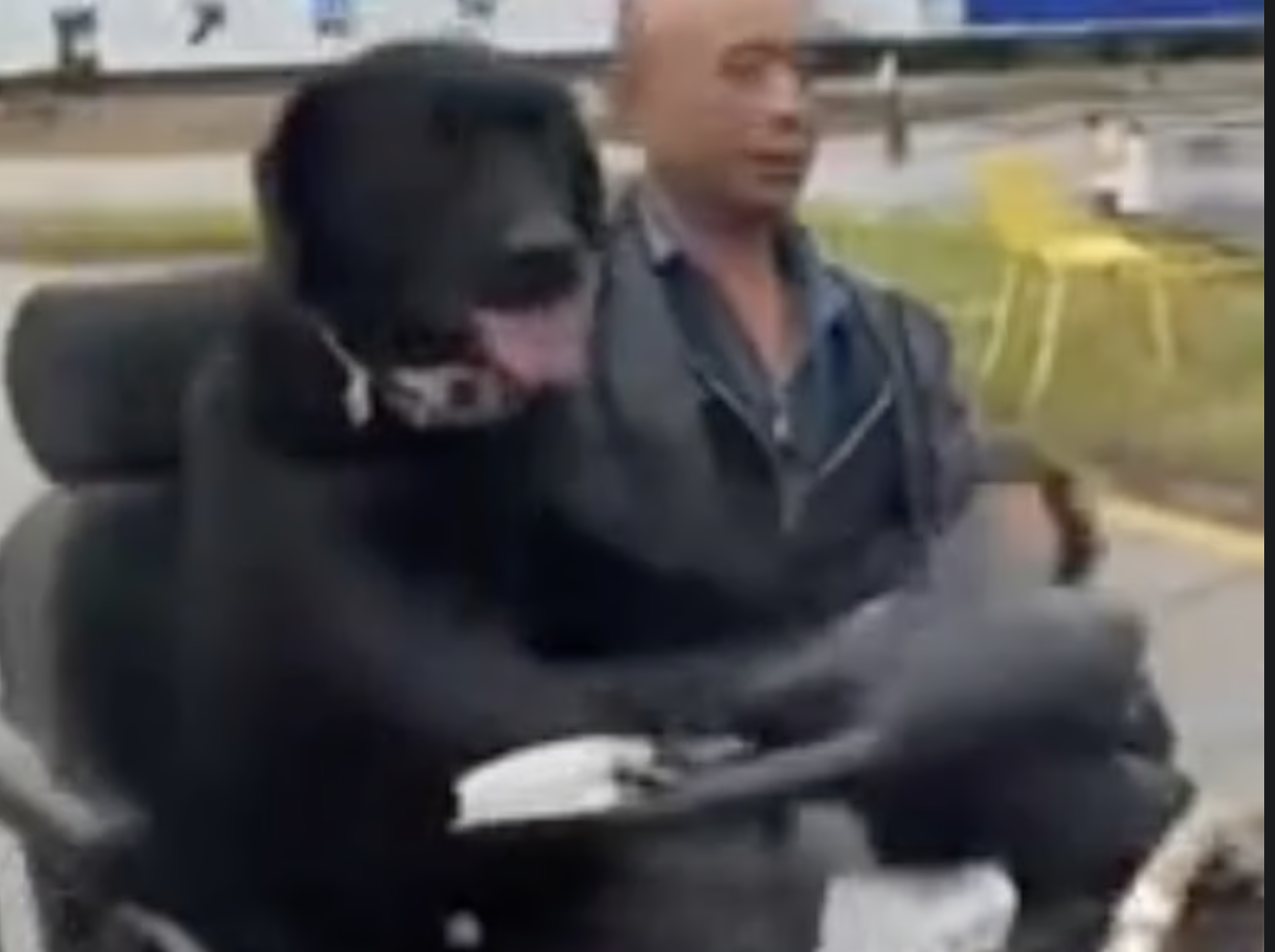 nh man hinh 2025 10 24 luc 181135