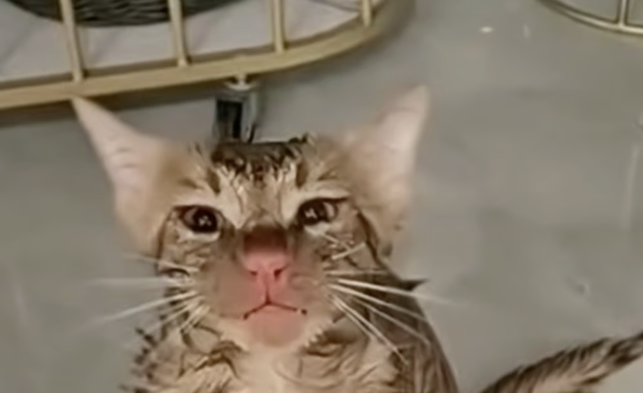 nh man hinh 2025 12 16 luc 092131