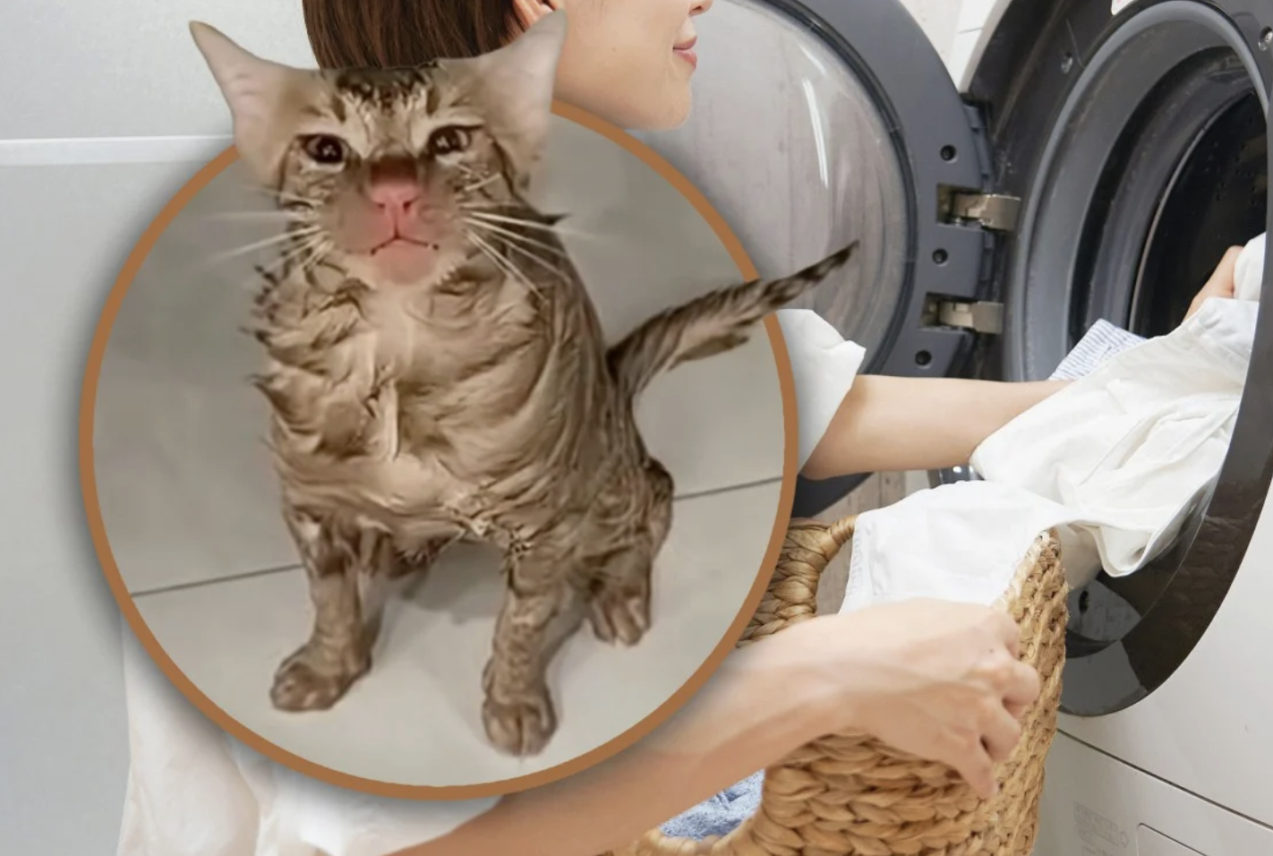 nh man hinh 2025 12 16 luc 092137