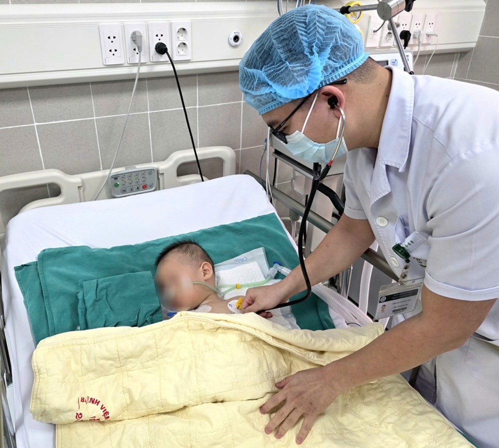 ngo doc hat cu dau 3