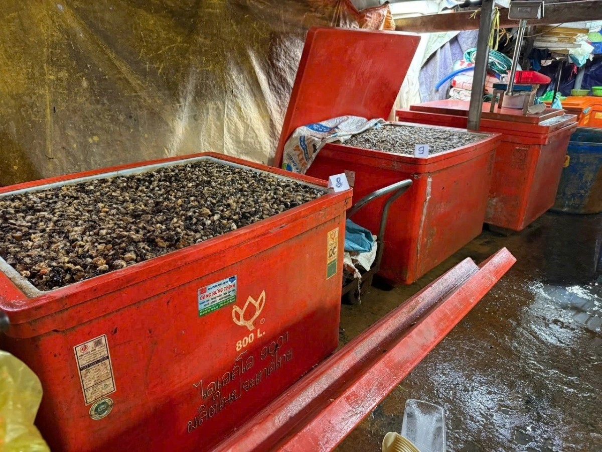 z74723133828379cf6b9ee043e8e0cf95a5105984ebb8e