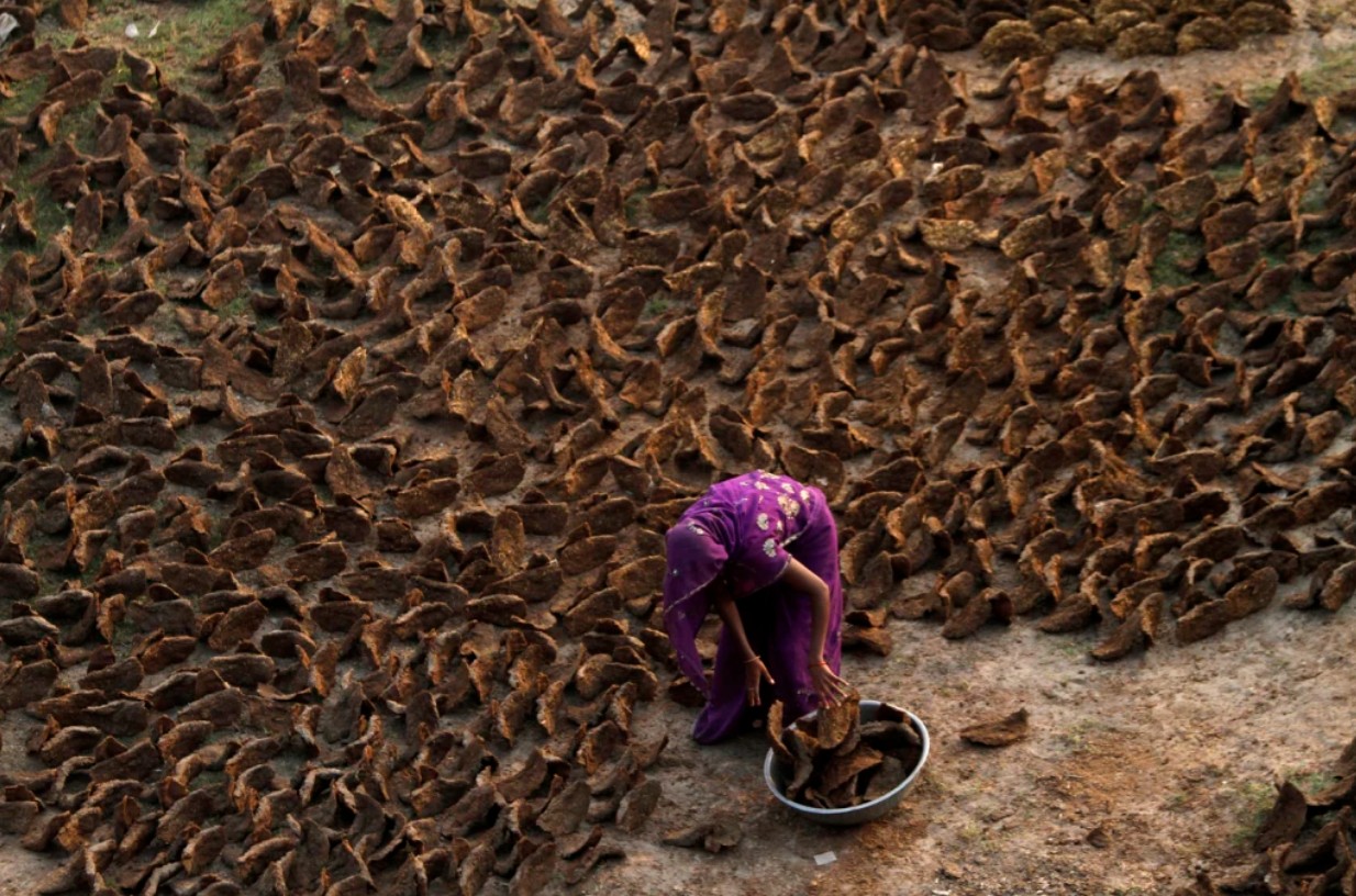 n do nau an bang bep cui 3