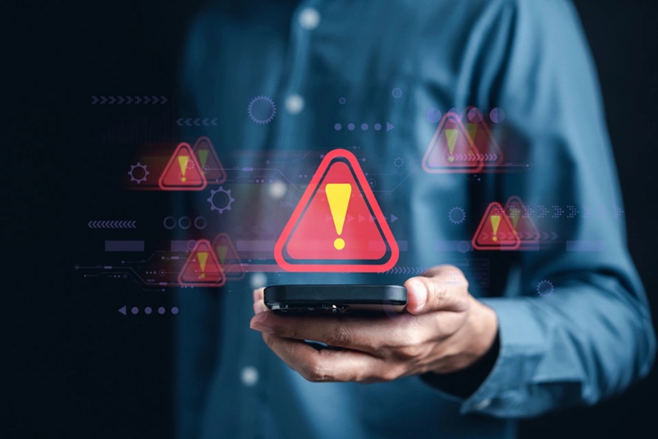 1 1717024044593931761531jpg copy