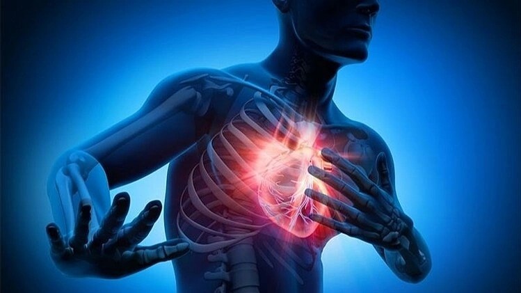 nhoi mau co tim 2 800x450 jpeg 1713 5236 1702736043