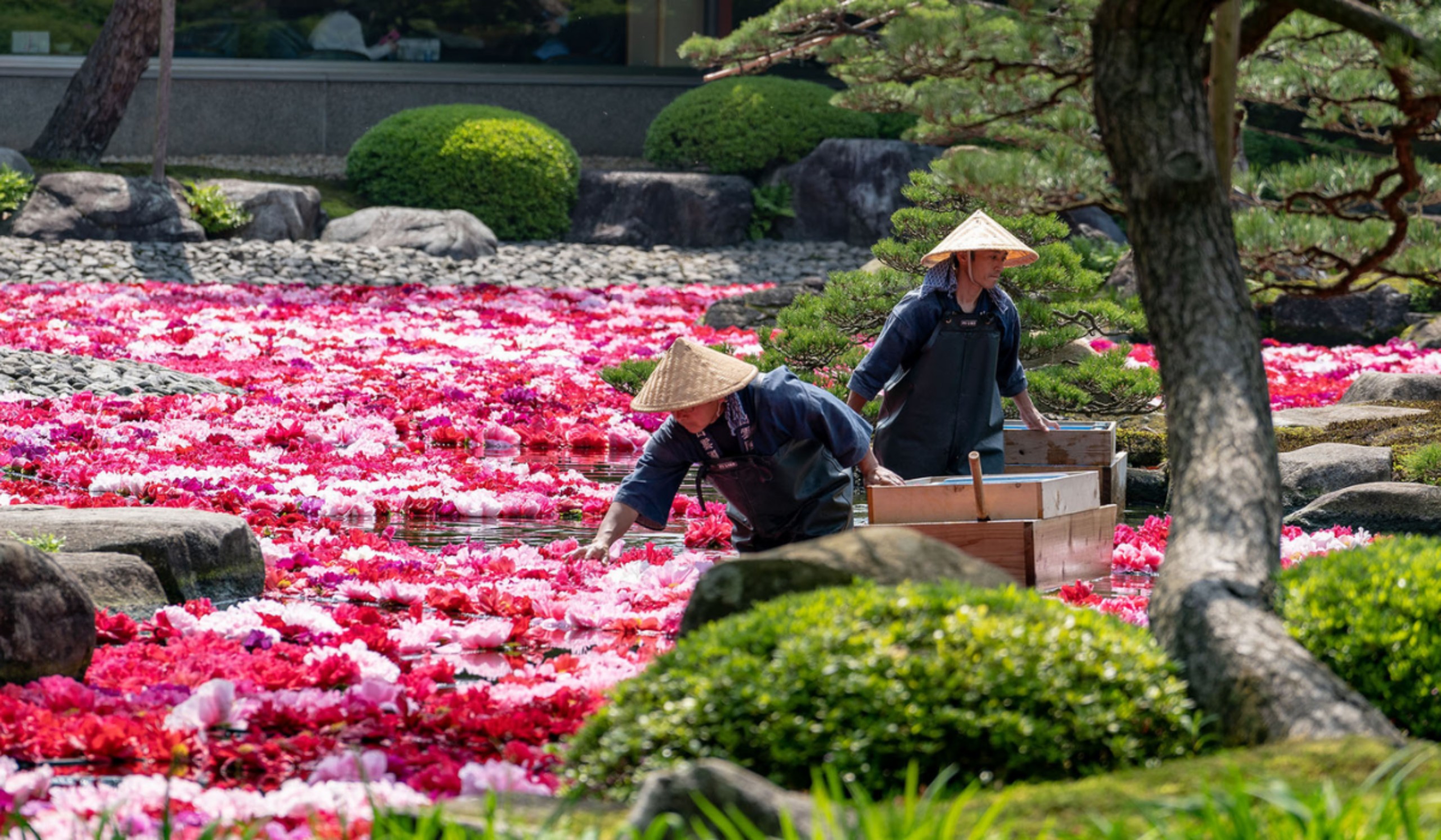 z5353799629473276d49732ec79433ca3d9f82ae5c0ab8