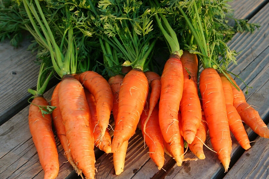 carothuucob4b636bd8ac5431db8b3f8957634d14d