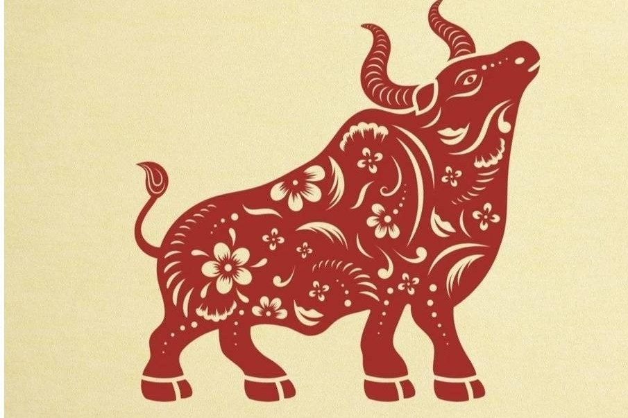 image2025 08 2509 13 44 image2025 08 2509 13 44