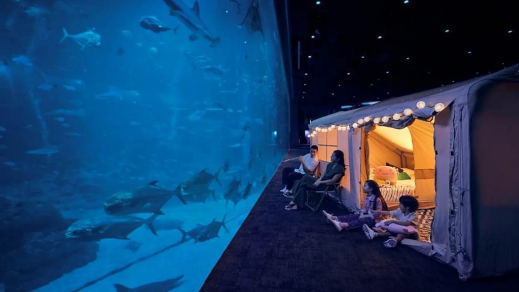 5 ocean dream singapore oceanarium20251117203004