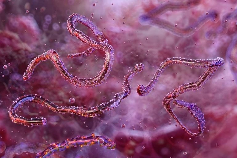 shutterstock251891087917281096