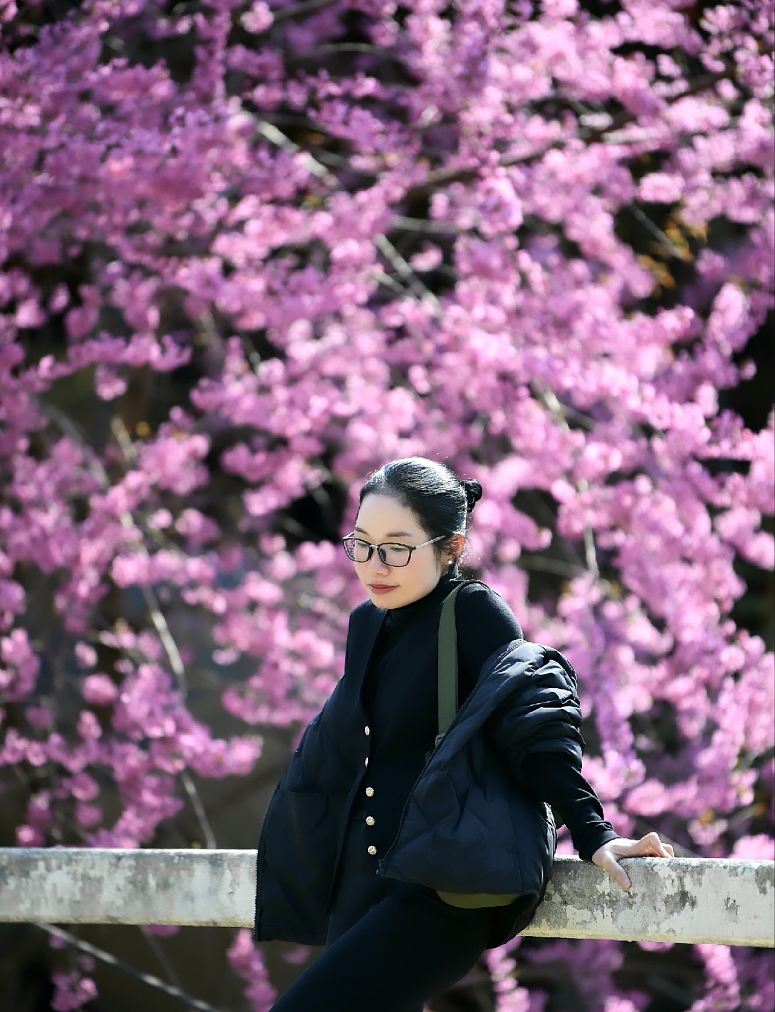 du khach va mua hoa xuan tai mu cang chai anh duy thanh 1