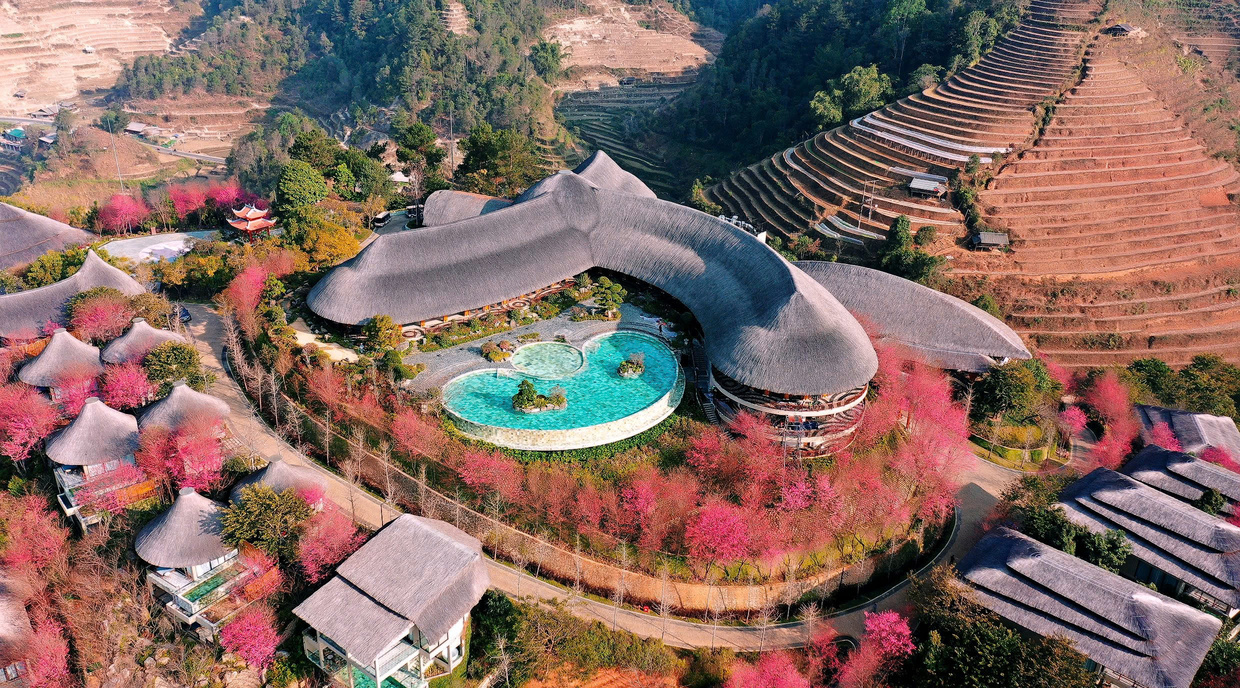 garrya mu cang chai ngap tran sac hoa to day 11jpg