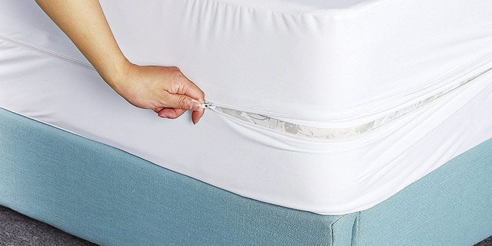 large20211116181639864637doctotrongnemmax1800x1800jpg3ac4ea7980