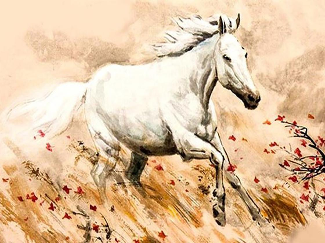 image2025 08 1617 06 04