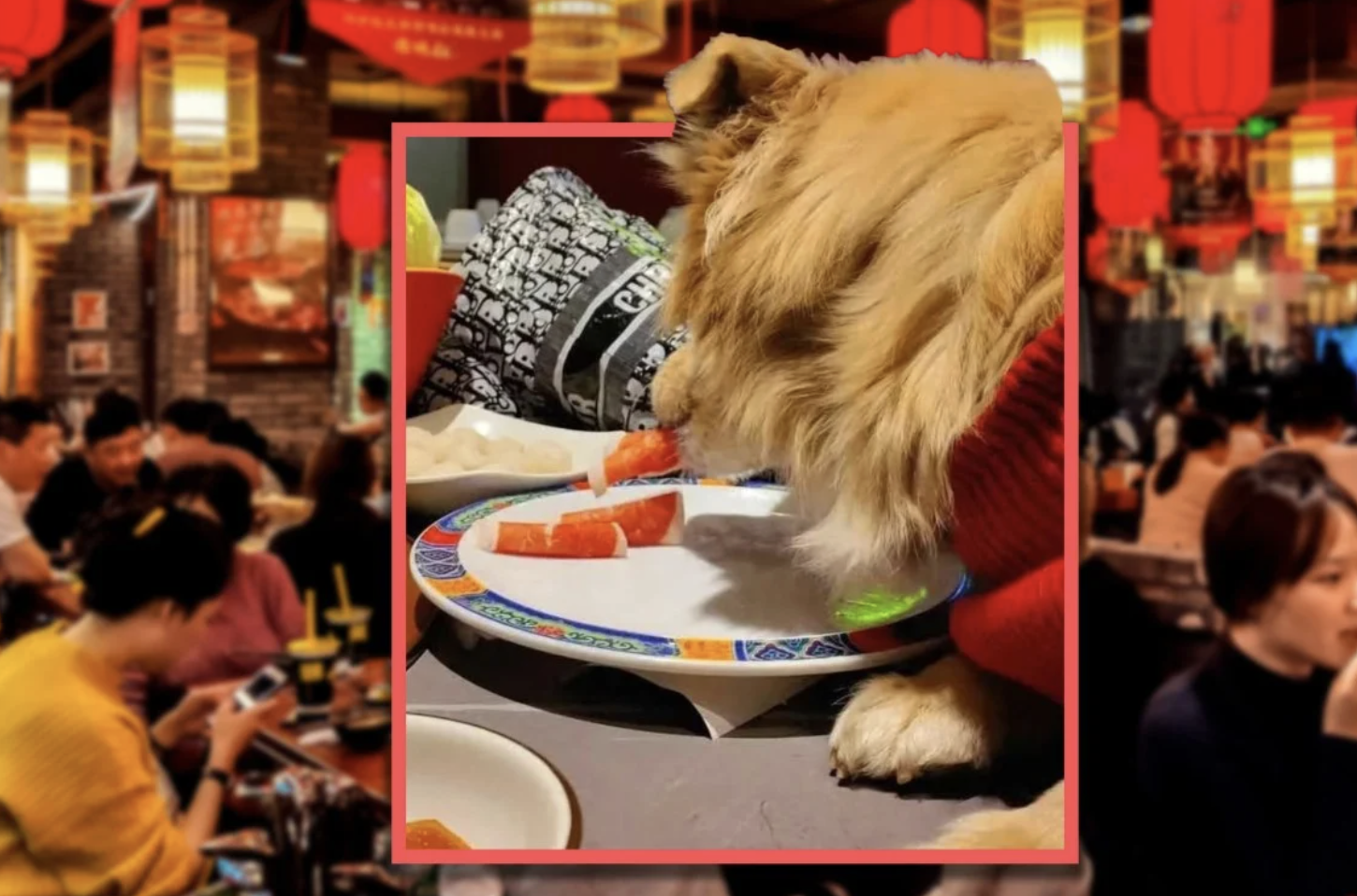 nh man hinh 2026 01 04 luc 083708