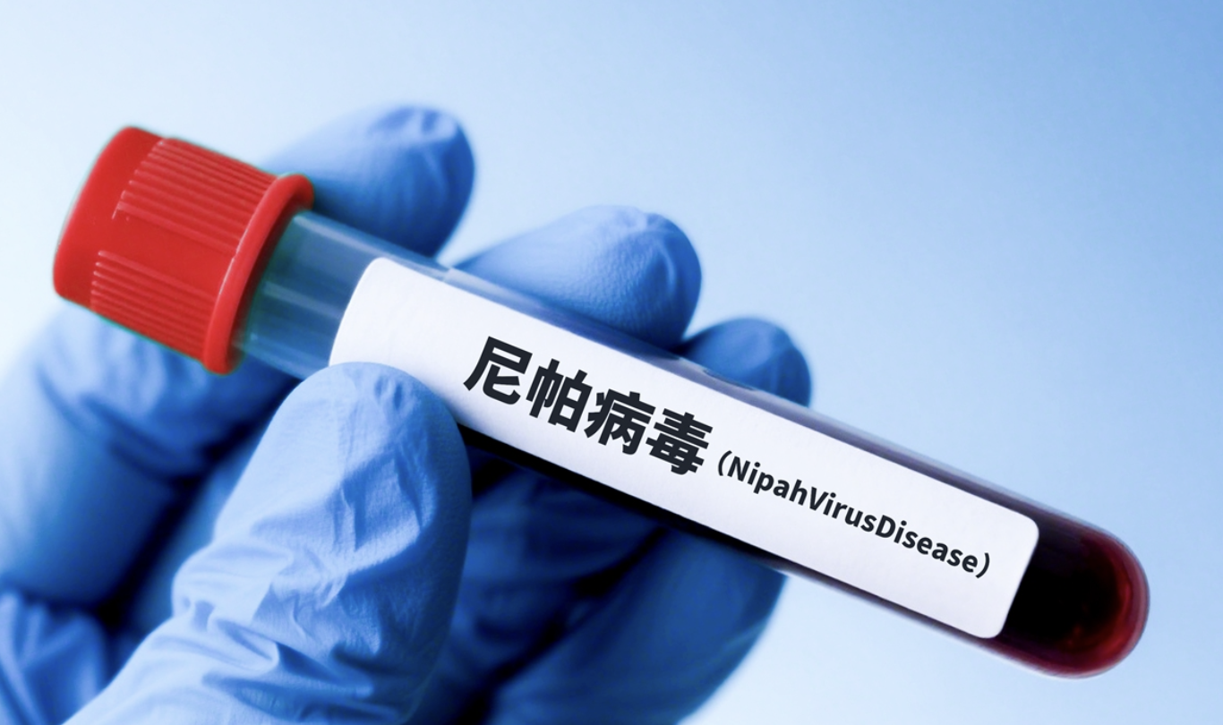 nh man hinh 2026 01 28 luc 085934