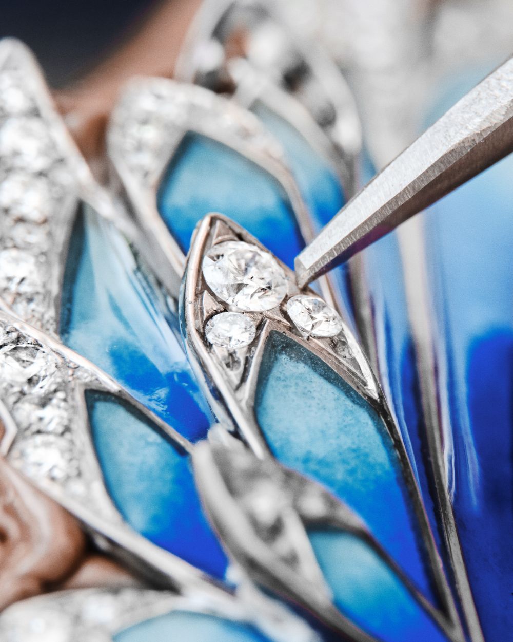 26 hjth cfts 17112025170 tiar 42155 rvb jpeg 300dpi