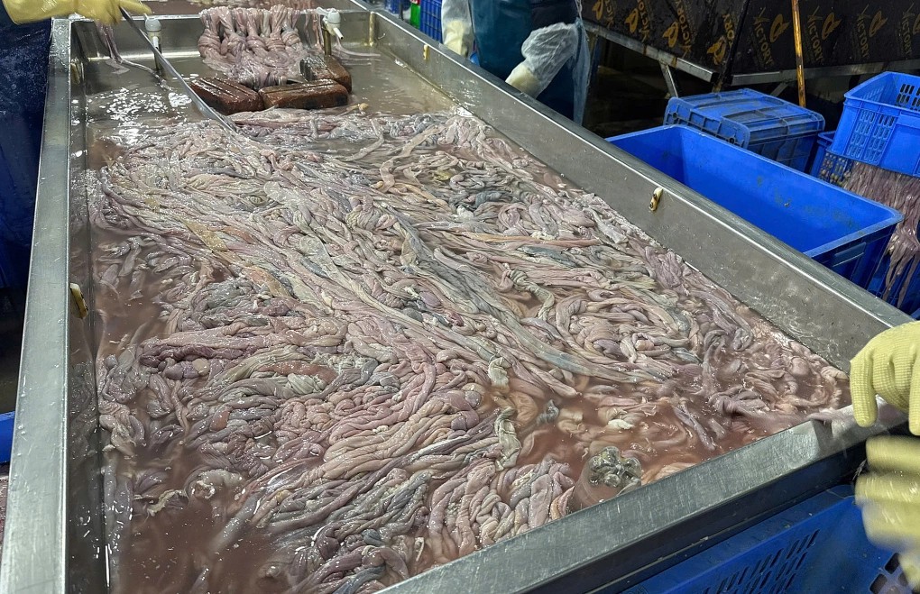 8 nhie u doa n lo ng da chuye 2389 1670 1769755979