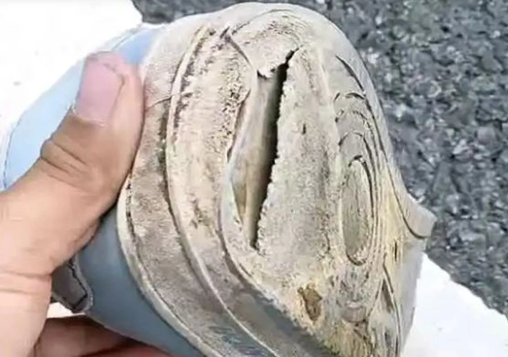 i bo ve que an tet 2