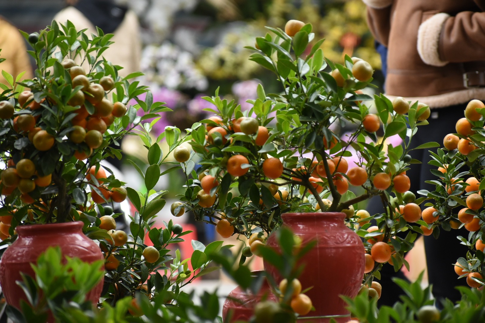 image2026 02 1214 48 45