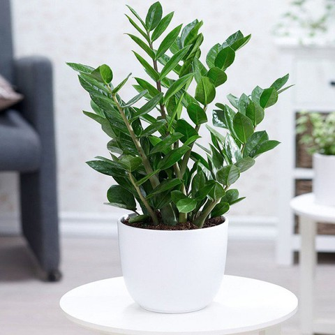 image2026 02 1214 58 03