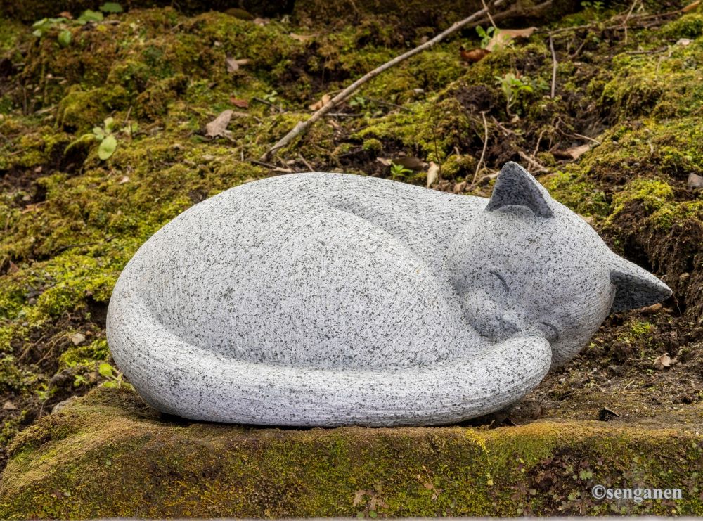 n tho than meo ben trong khuon vien vuon2senganen