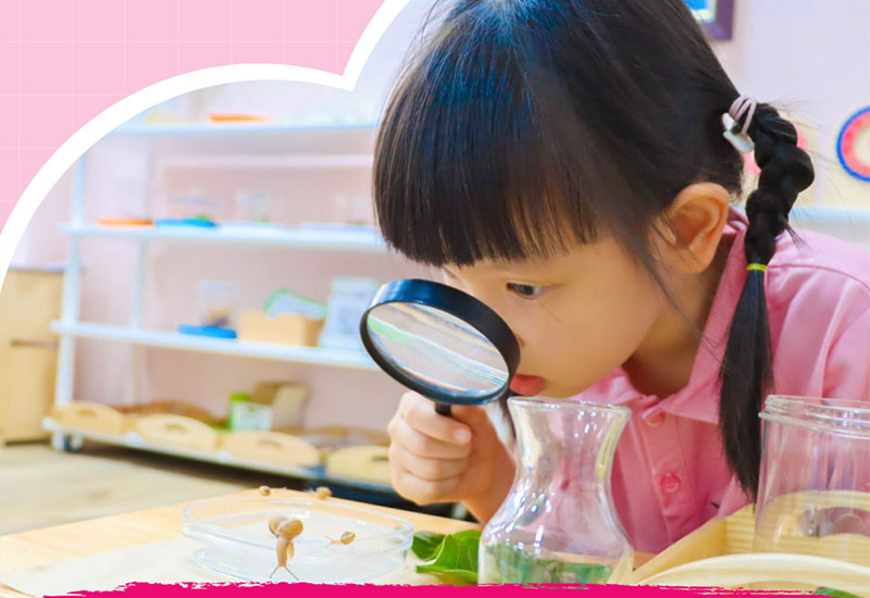 day tre tu duy phan bien 5