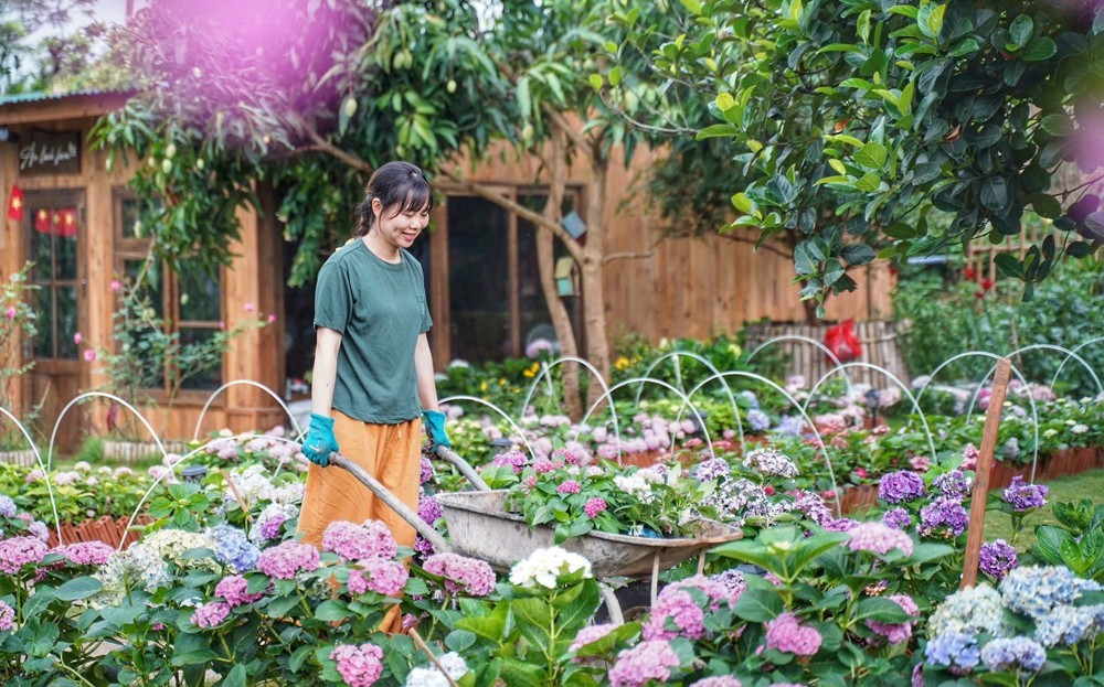 351180 san sang mua dulich