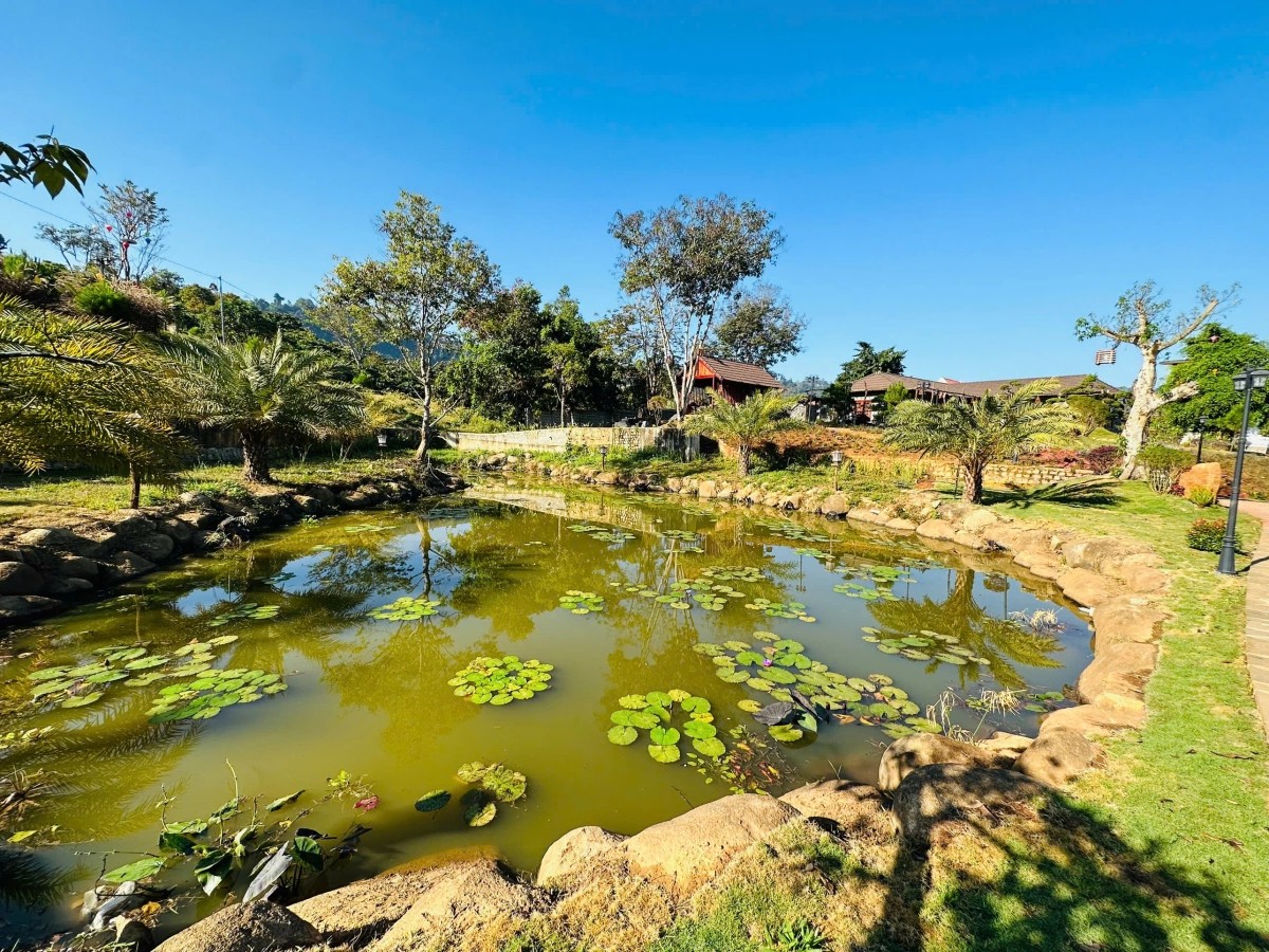 z7484154555309 74e6f8ed2da55428d270a7ee557d0ae8 1769910531 1769911353