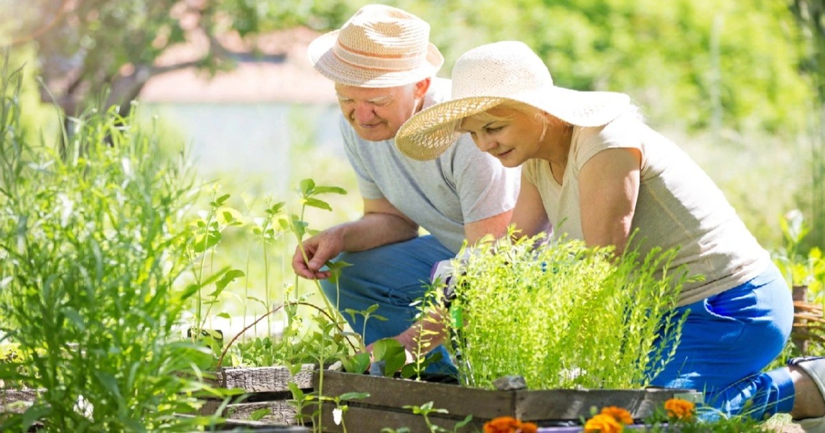 tuoitho crop 1731727777449