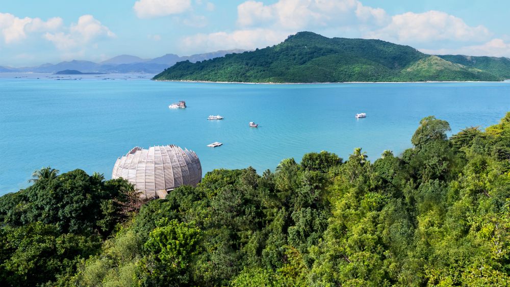 ddji202601210851460269d