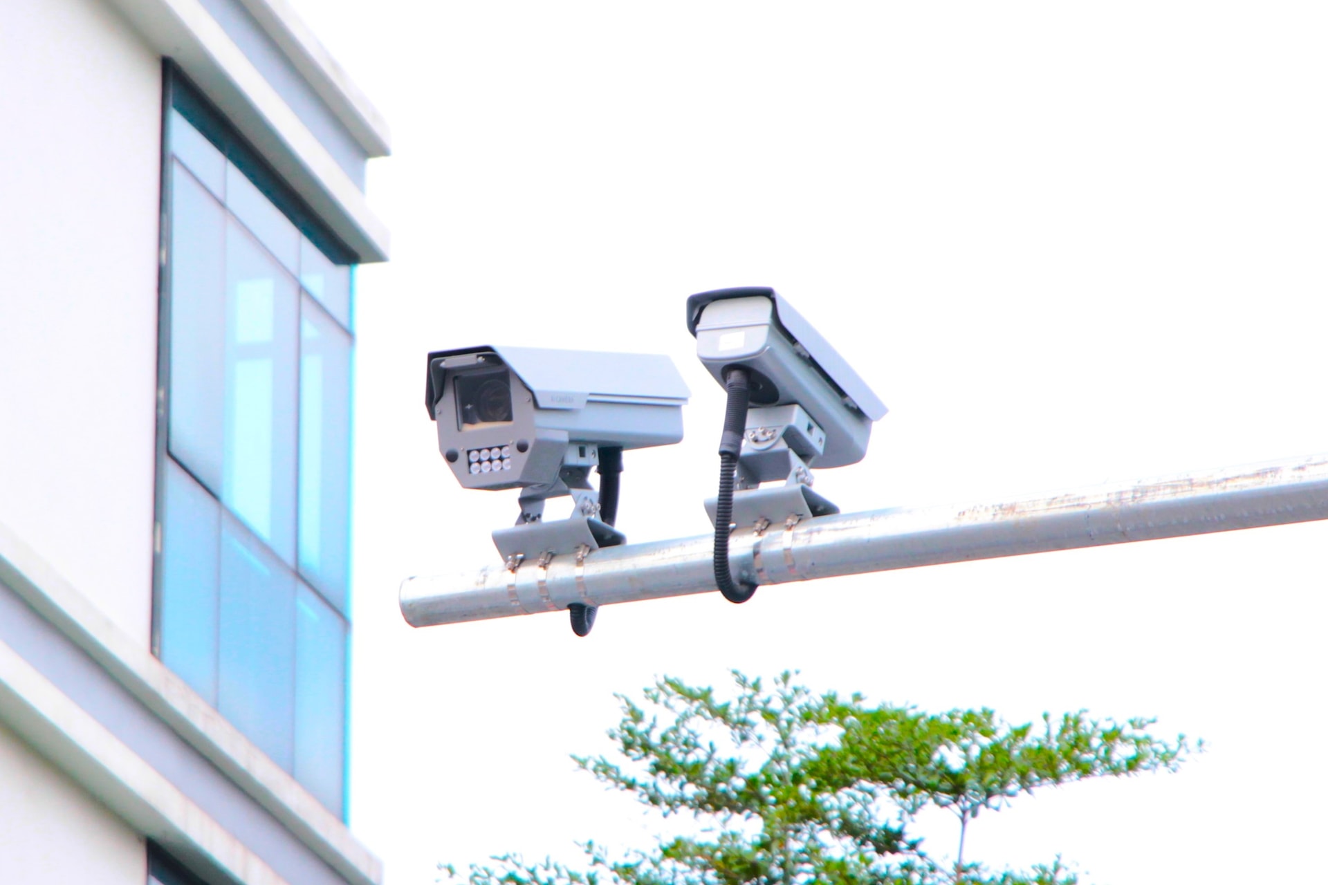 camai1 1768288981889830451237