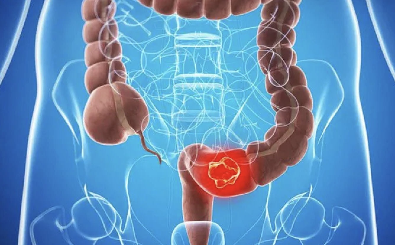 anh man hinh 2026 04 04 luc 094446