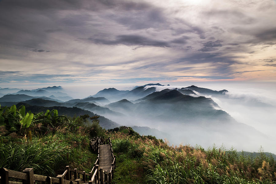 alishan national scenic area taipei taiwan by balmung
