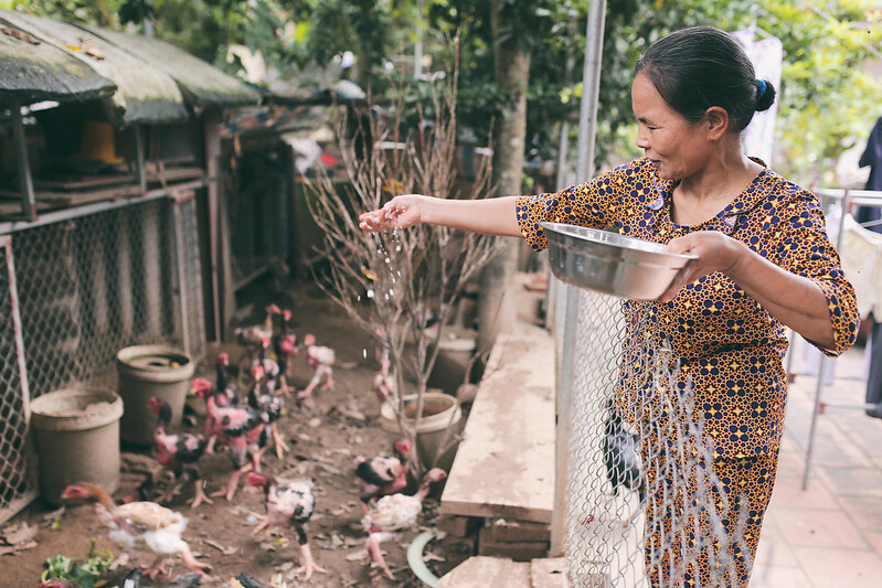 nghi huu som gdtd pogp