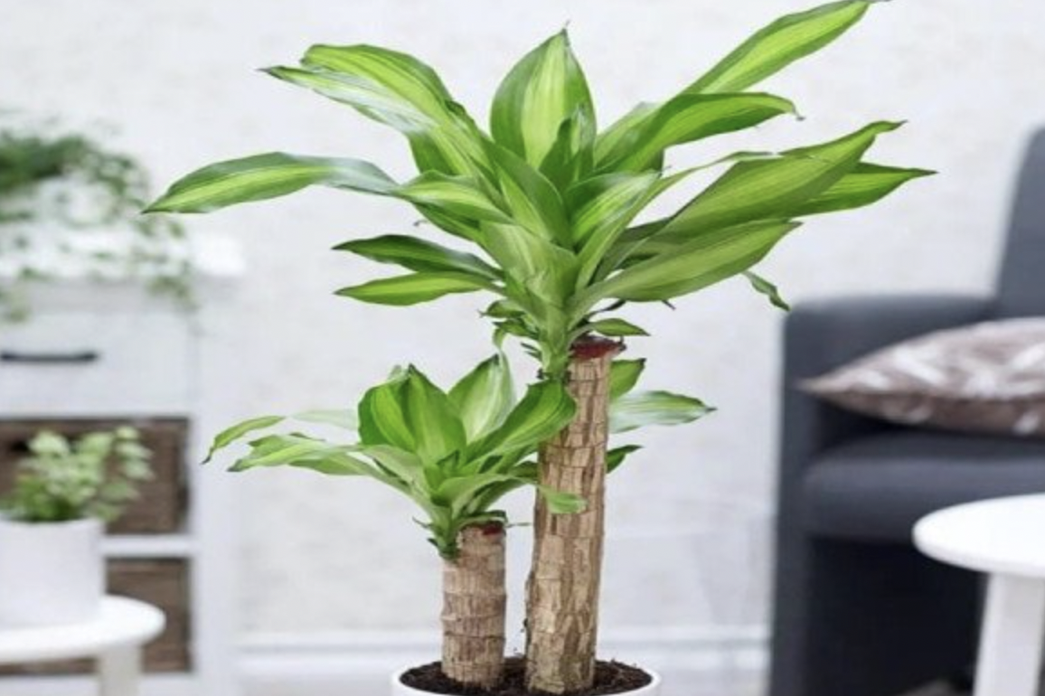 anh chup man hinh 2026 04 22 luc 143352