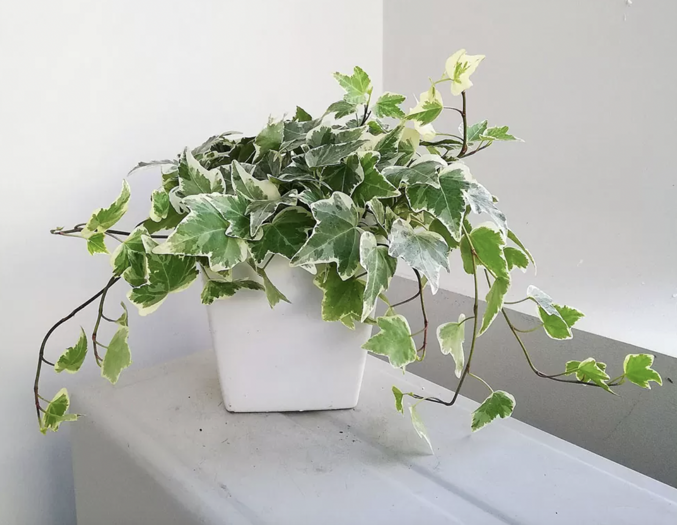 anh chup man hinh 2026 04 22 luc 143549