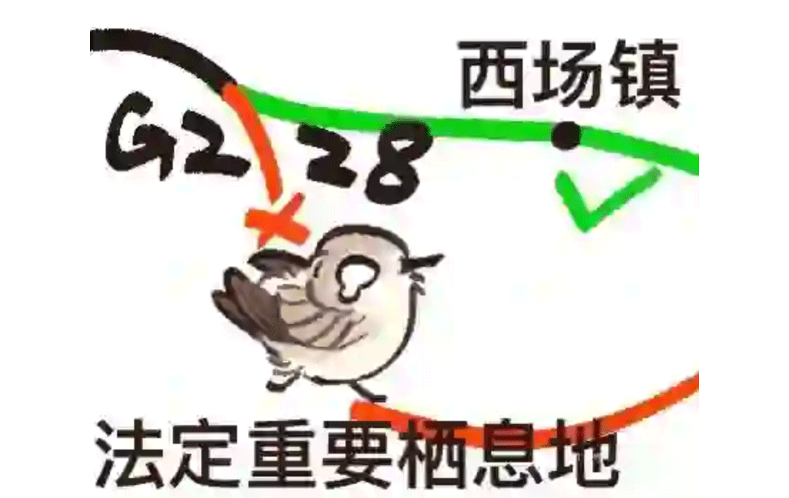 chim quy hiem 3