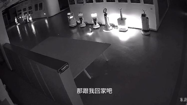 erbai robot2 750x422