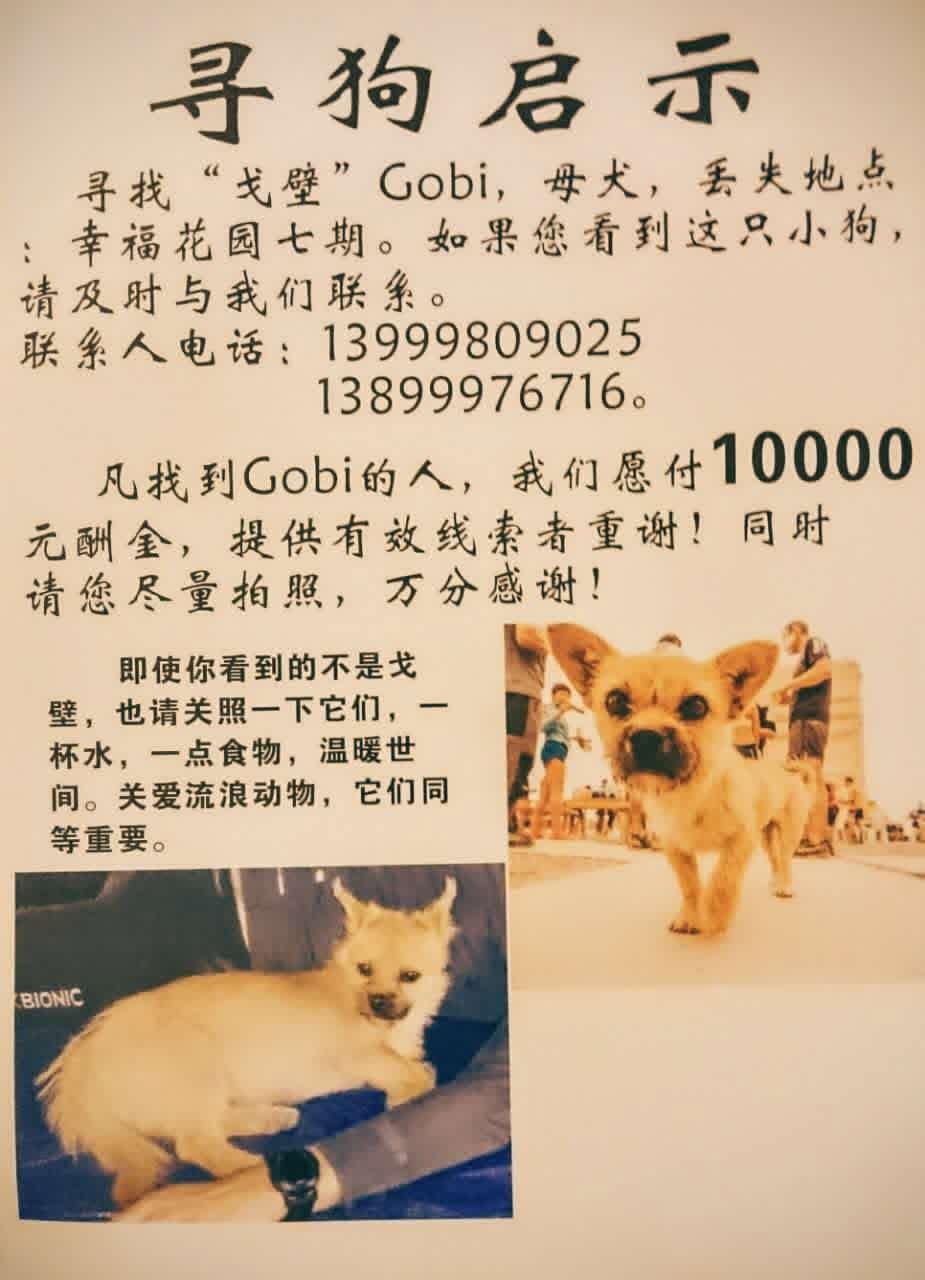 gobi 2
