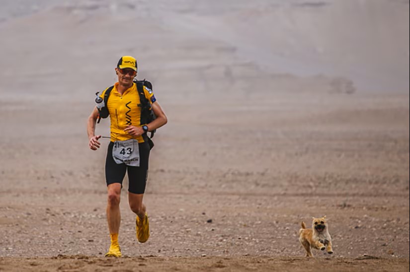 gobi 4