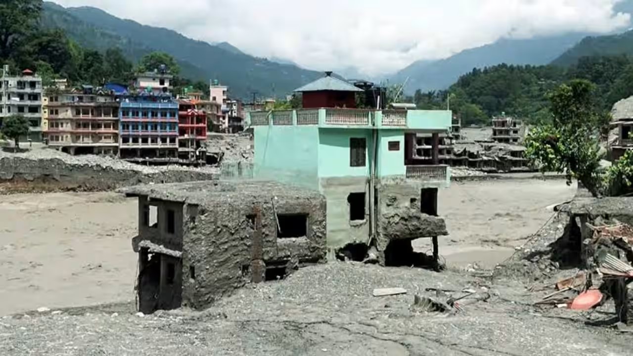 chu nhan nha mau xanh nepal 5