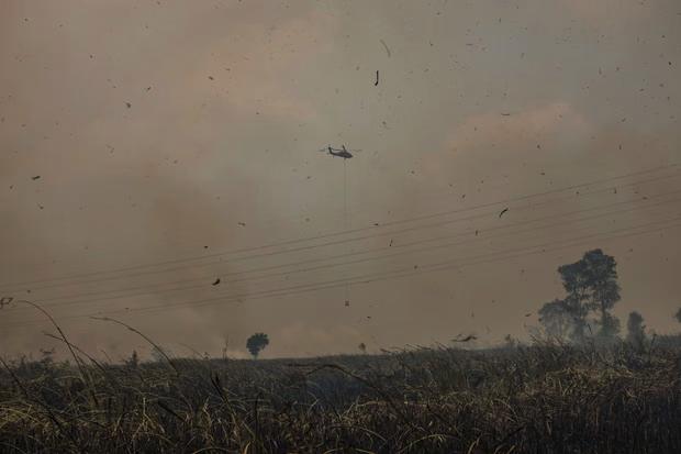 indo 1