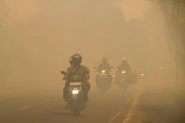 indo 2