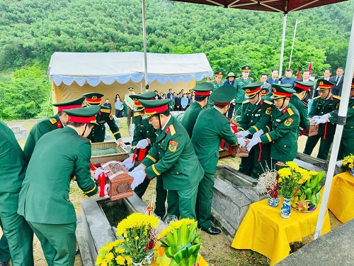 z66395336346206534d37a3533a556943747265afb7e35