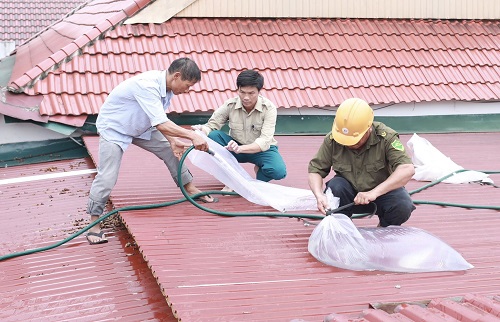 53732696532415021693315852517707673417008376n