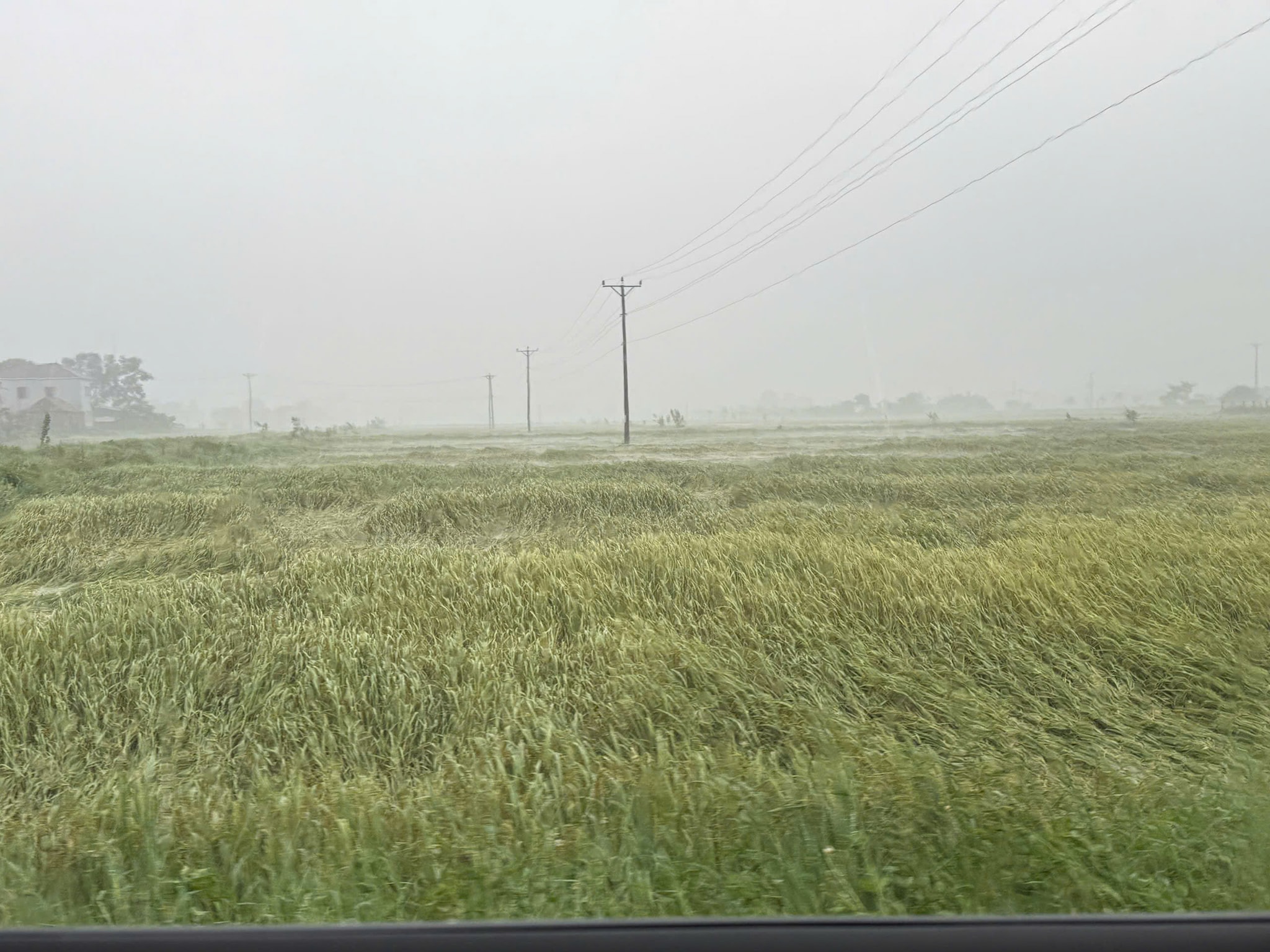 53796482928181748117169563814241142396081481n