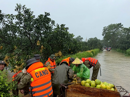 z69610659023113677844db953e3883acd6d23a0f21ecc