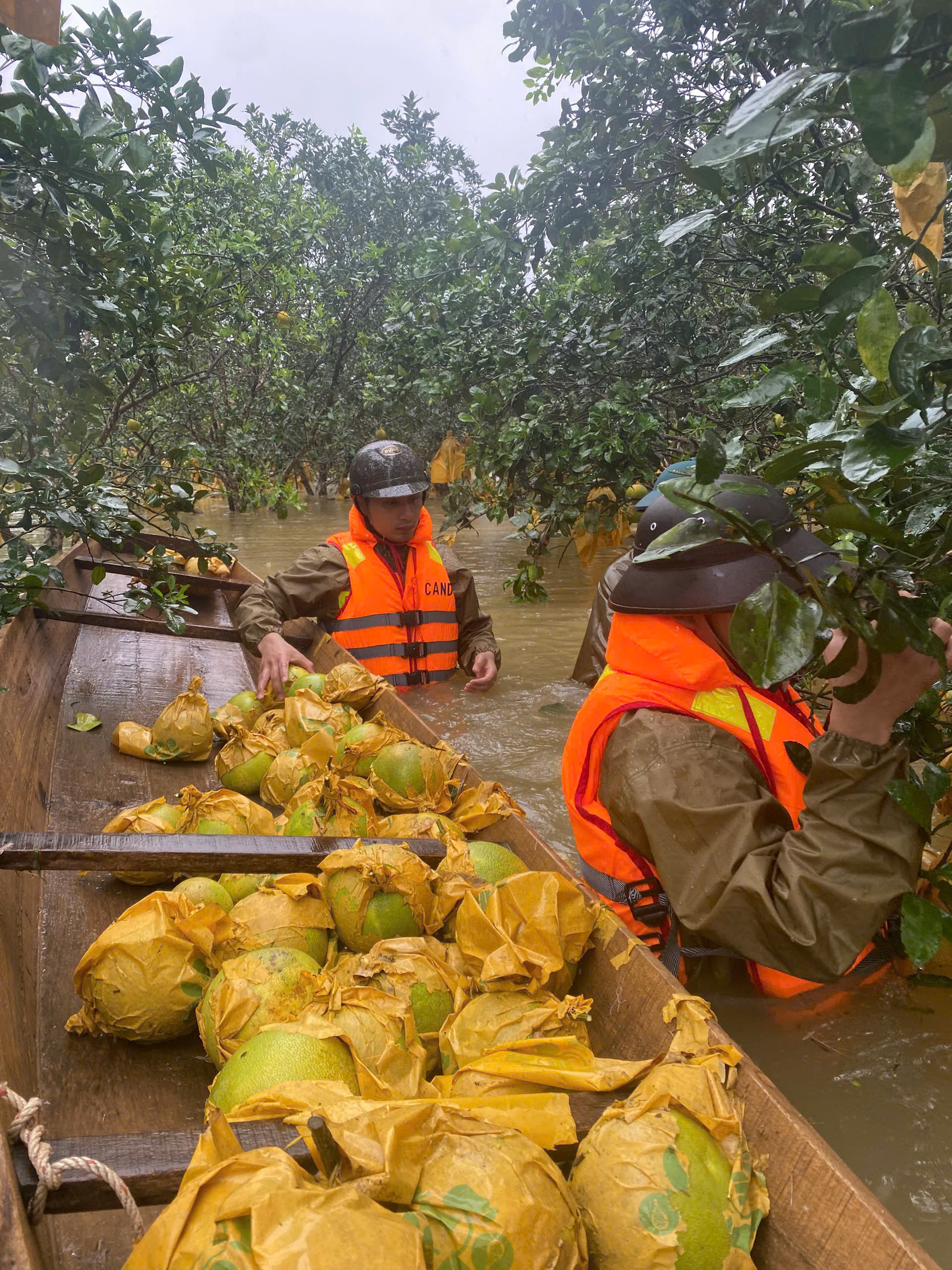 z696106598540438d346ec524fffdb05d6301fe6b8ddc4